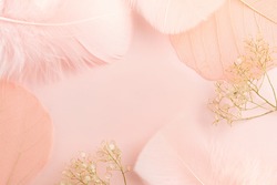 Elegant  background with gentle decorations angelic feathers and dry flowers