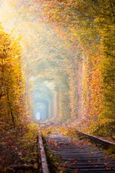 Fantastic Autumn Trees Tunnel with old railway - Tunnel of Love. Natural tunnel of love formed by trees. Ukraine