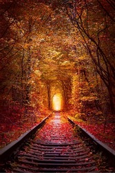 Magical Autumn Trees Tunnel with old railway - Tunnel of Love. Natural tunnel of love formed by trees. Ukraine