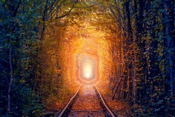 Old Golden Autumn Trees Tunnel with old railway - Tunnel of Love. Natural tunnel of love formed by trees.  Ukraine, Europe