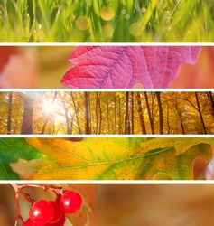 Set of Different Autumn Banners - colorful vibrant backgrounds for Internet, beautiful Autumn season