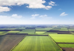 Field as a background. Agricultural landscape from air