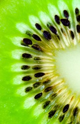Abstract photo of a kiwi