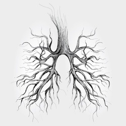 Tree - Lungs of the Earth / realistic sketch