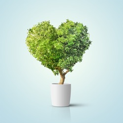 Green tree shaped in heart isolated over blue background