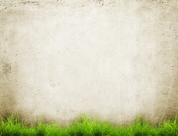 Old wall and green grass background