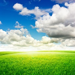 Green field under blue clouds sky. Beauty nature background