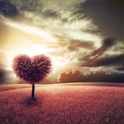 Abstract field with heart shape tree under blue sky. Beauty nature. Valentine concept background