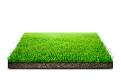 Square of green grass field over white background