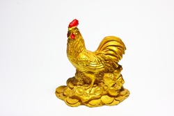 Picture of golden chicken on white background.
