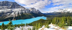 Panorama View from Bow Summit of Peyto lake in, Canada