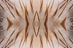 Abstract seamless symmetric pattern of feathers of marsh harrier  close-up as background. An ornamental surreal tracery of bird feathers. Wide image with mirror effect.
