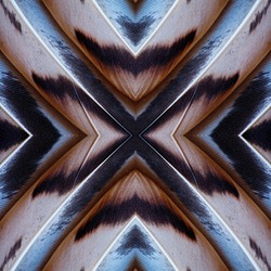 Square Abstract symmetric pattern of colorful feathers of wild duck as background close-up. Ornamental surreal tracery of bird feathers. The image with mirror effect.