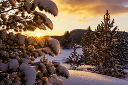 Winter forest at sunset in the mountains