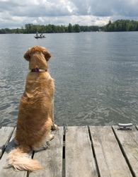 My dog must have sat there motionless for an hour watching these fishermen