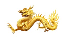  Chinese golden dragon isolated on white with clipping path.Golden traditional chinese dragon isolated on white background. Feng Shui statuette.