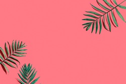 Tropical palm leaves from above - flat lay