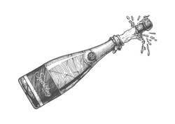 Champagne Pop - Vector Illustration - Free Stock Photo by maa ...