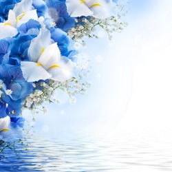 Flowers in a bouquet, blue hydrangeas and white irises