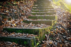 Old stairway in the autumn forest, covered with fallen leaves