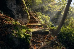 Abandoned staircase in the autumn forest leading through stones and trees