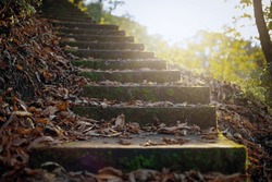 Old stairway in the autumn forest, covered with fallen leaves
