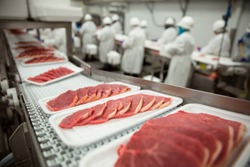 Slices of thin meat cutlets on a conveyor belt for packaging at industrial meat factory plant
