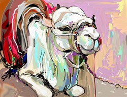 original digital painting artwork of white camel, vector illustration