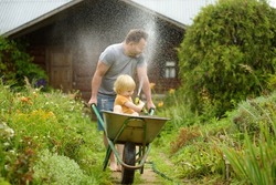 Happy little boy having fun in a wheelbarrow pushing by dad in domestic garden on warm sunny day. Child watering plants from a hose. Active outdoors games for family with kids in summer.