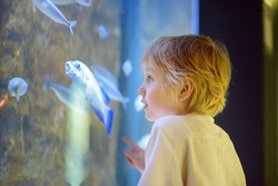 Little boy explore fishes in aquarium. Elementary student is on excursion in seaquarium. Biology lessons.