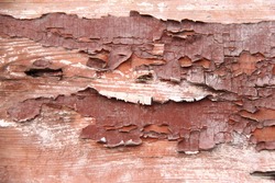 Old wooden fence with peeling brown paint/Background of old painted wood fragment