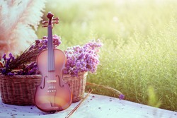 classic violin in flower garden