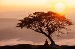Buddhist monk in meditation under the tree at beautiful sunset or sunrise background 