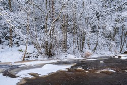 Wintry river landscape with ice and frost in the forest
