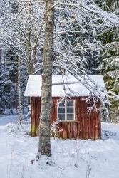 Red little cottage in a wintry forest
