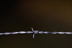 Roll of barbed wires