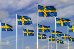 Swedish flags swaying in the wind