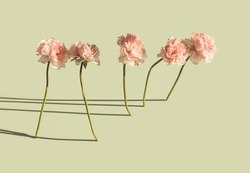 Artificial pink flowers emerging from the pastel green background. Artificial romantic universe conceptual background.