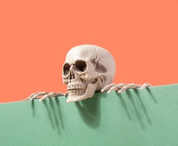 Skeleton on the edge of the table against the two-tone background. Spooky Halloween futuristic concept. Santa Muerte