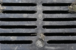 Sewer Drain Grate Cover in Central Park, New York City
