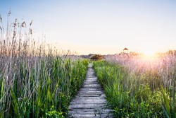 Peaceful sunset with a wooden walkway