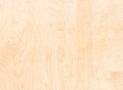 Fragment of the texture of the plywood sheet.