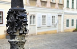 a small fountain with a human face in Vienna