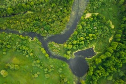 Aerial View. Green Forest, Meadow And River Marsh Landscape In Summer. Top View Of European Nature From High Attitude In Summer Sunrise. Bird's Eye View. Belarus.