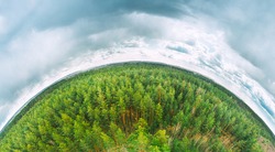 Aerial View Green Coniferous Forest Pines Woods Landscape In Spring Day. Top View Of Beautiful European Nature From High Attitude. Drone View. Bird's Eye View. Little Small Planet Concept.
