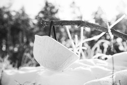 German Wehrmacht Infantry Soldiers White Helmet hanging on wooden banch in snow winter forest. World War II old army equipment ammunition. Metal Helmet Of German Infantry Wehrmacht Soldier At World 