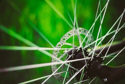 Bicycle Wheel In The Summer Green Grass Meadow Field. Close Up Detail