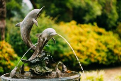 Fountain In The Form Of A Dolphin Statue In The Batumi Botanical Garden. Batumi, Adjara Georgia. Sunny Day At Summer Season.