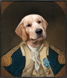 Royal pet portrait of golden retriever