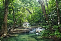 Background of streaming waterfall. small waterfall in Thailand. deep forest brook has green jungle from big tree.The forest protected by forester all time. rainforest cover by bright green moss.
